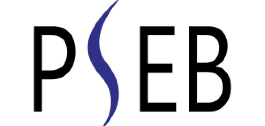 Pakistan Software Export Board